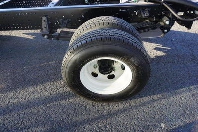 2025 Chevrolet Low Cab Forward 4500 HD 2WD Reg Cab 150"